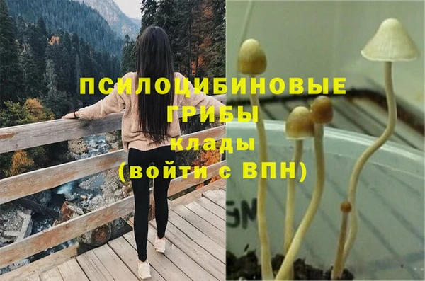 амф Белокуриха